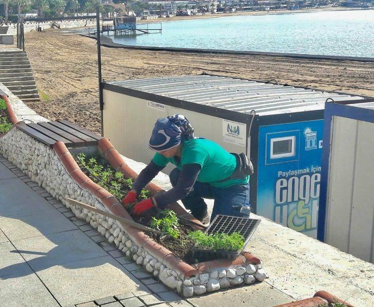 Didim çiçek açıyor G2