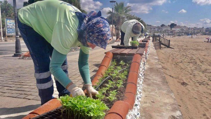 Didim çiçek açıyor G3