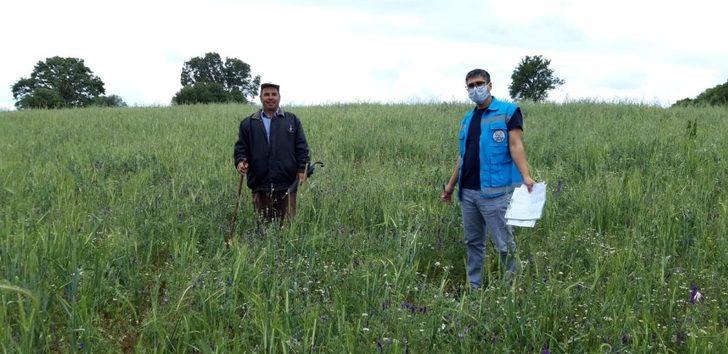 Şaphane’de hayvanların aşı ve küpeleme çalışmaları G1