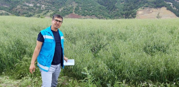 Şaphane’de hayvanların aşı ve küpeleme çalışmaları G3