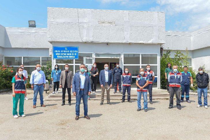 Başkent’te korona döneminde sokak hayvanlarına 461 ton mama dağıtıldı G5