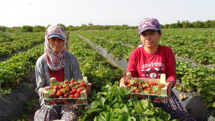 Mersin ve Adana’nın mayıs enflasyonu yüzde 10,67 G2
