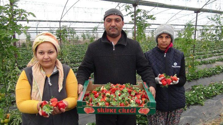 Mersin ve Adana’nın mayıs enflasyonu yüzde 10,67 G3