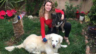 Dehşet! Gamze Topuz’un köpeklerine çivili kemik attılar