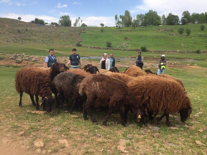 Bingöl’de çiftçilere 1 milyon TL kredi desteği verildi G2