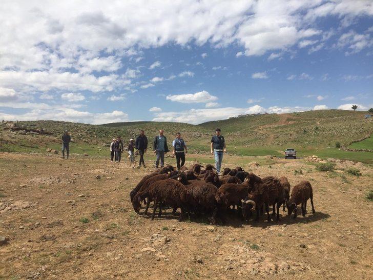 Bingöl’de çiftçilere 1 milyon TL kredi desteği verildi G3