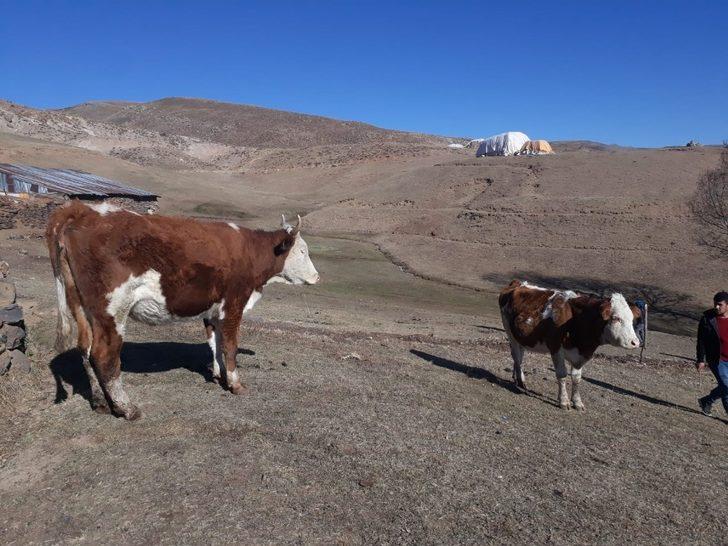Bingöl’de çiftçilere 1 milyon TL kredi desteği verildi G4