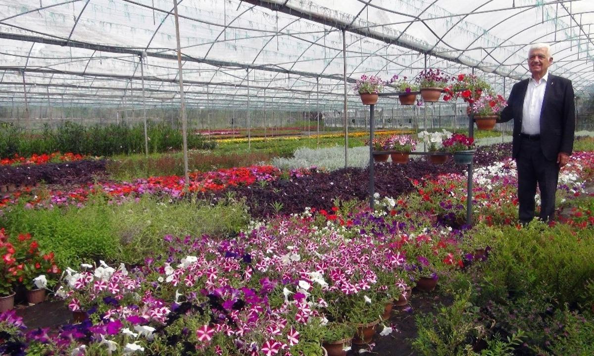 Muğla yerel tohumdan sonra &ccedil;i&ccedil;ek &uuml;retim merkezi oluyor