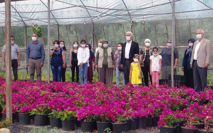 Muğla yerel tohumdan sonra çiçek üretim merkezi oluyor G3