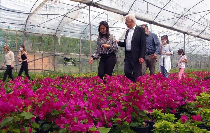Muğla yerel tohumdan sonra çiçek üretim merkezi oluyor G4