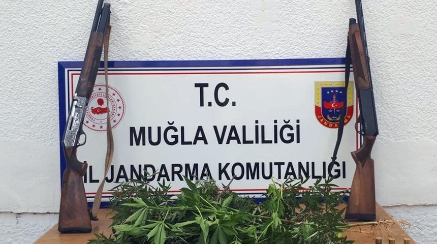 K&ouml;yceğiz&rsquo;de kenevir operasyonu