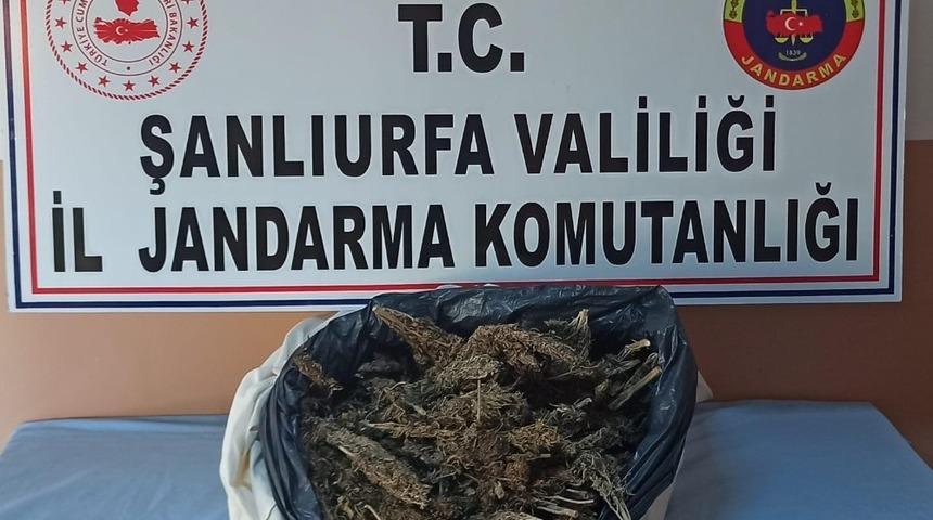 Şanlıurfa&rsquo;da 10 kilo esrar ele ge&ccedil;irildi