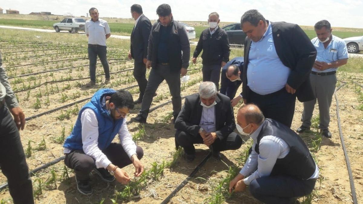Başkan Ko&ccedil;ak dolu nedeniyle zarar g&ouml;ren tarlalarda hasar tespiti yaptı