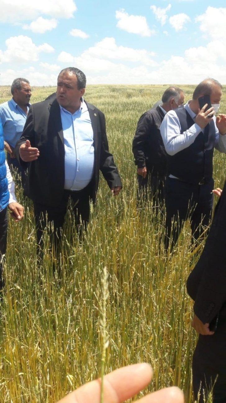 Başkan Koçak dolu nedeniyle zarar gören tarlalarda hasar tespiti yaptı G3