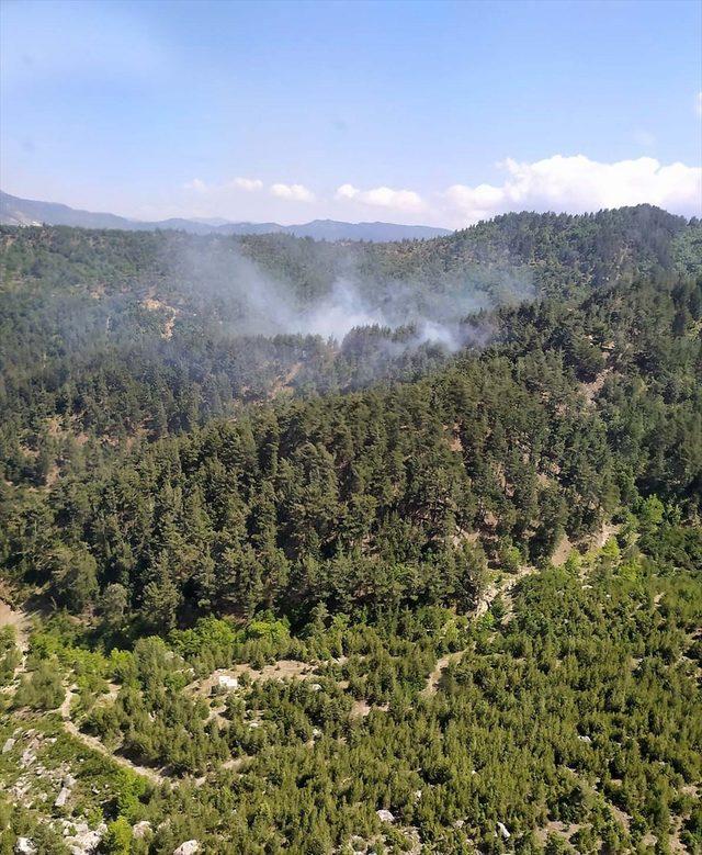 Kahramanmaraş'ta 2 hektarlık orman yangında zarar gördü<br />
