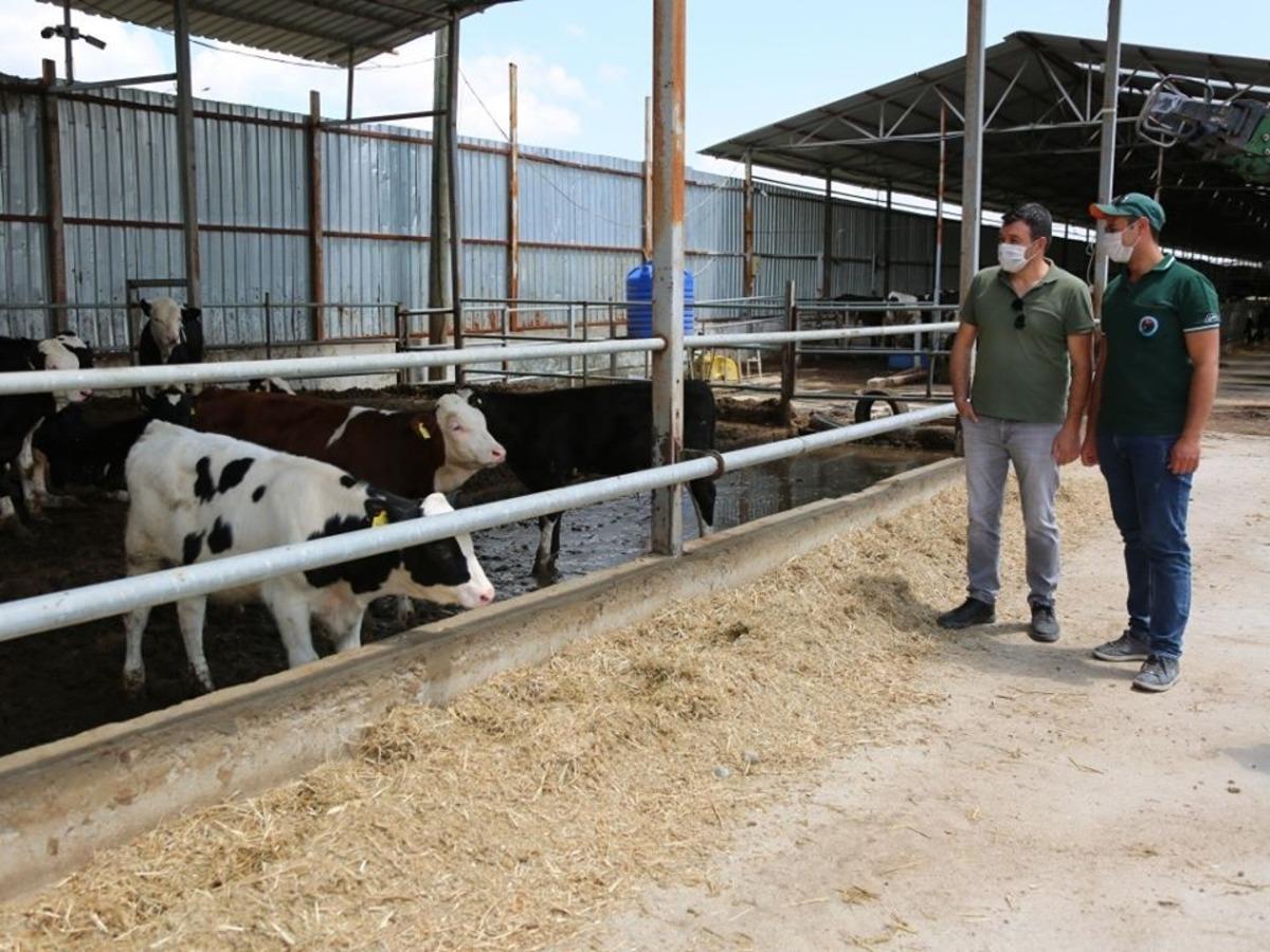 Amasya&rsquo;da danışmanlık hizmeti devam ediyor