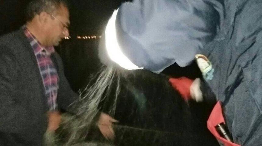 Elazığ’da 2 tekne ile kaçak balık avına çıkan 3 kişi yakalandı