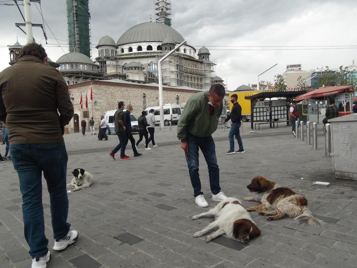 Taksim&rsquo;de ayağı kırılan k&ouml;pek i&ccedil;in vatandaşlar seferber oldu