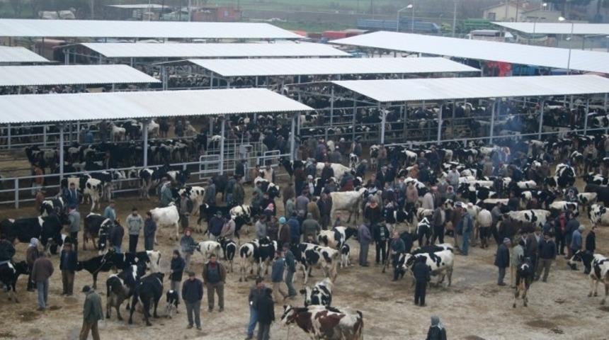 &Ouml;demiş Hayvan Pazarı a&ccedil;ılıyor