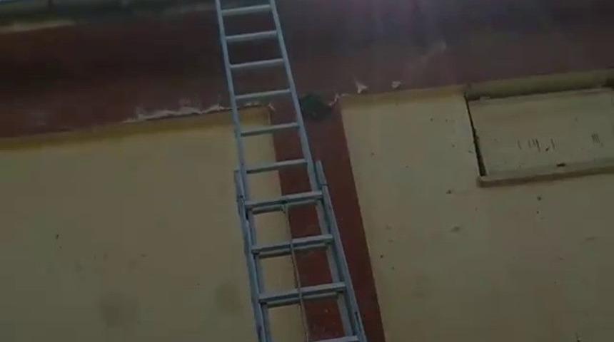 Trafonun &uuml;zerinde mahsur kalan genci itfaiye kurtardı