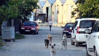 İpsala'da endişe yaratan olay! Belediye Başkanı isyan etti