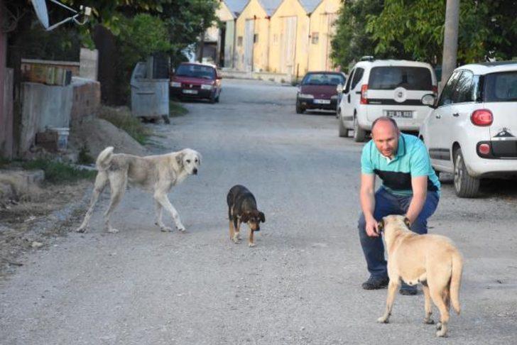 İpsala'da endişe yaratan olay! Belediye Başkanı isyan etti G2
