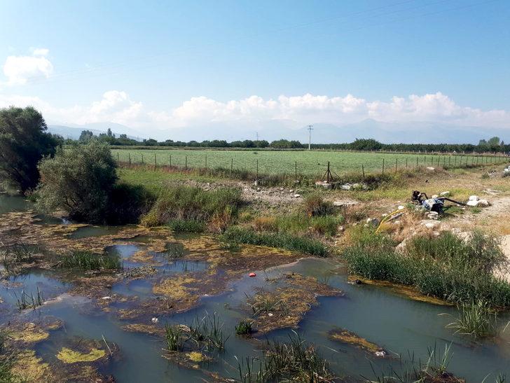 20 gündür aranan kayıp PTT çalışanı, tarlada ölü bulundu G5