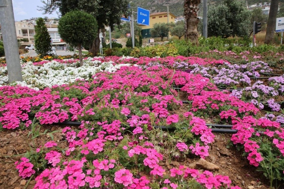 Kaş caddeleri &ccedil;i&ccedil;ek bah&ccedil;esine d&ouml;n&uuml;yor