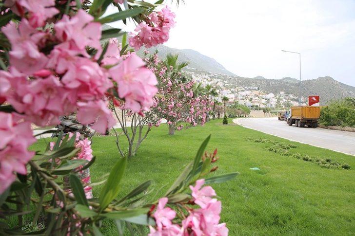 Kaş caddeleri çiçek bahçesine dönüyor G3