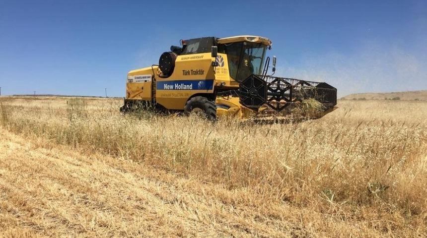 Biçerdöverlerin dane kaybı denetimi