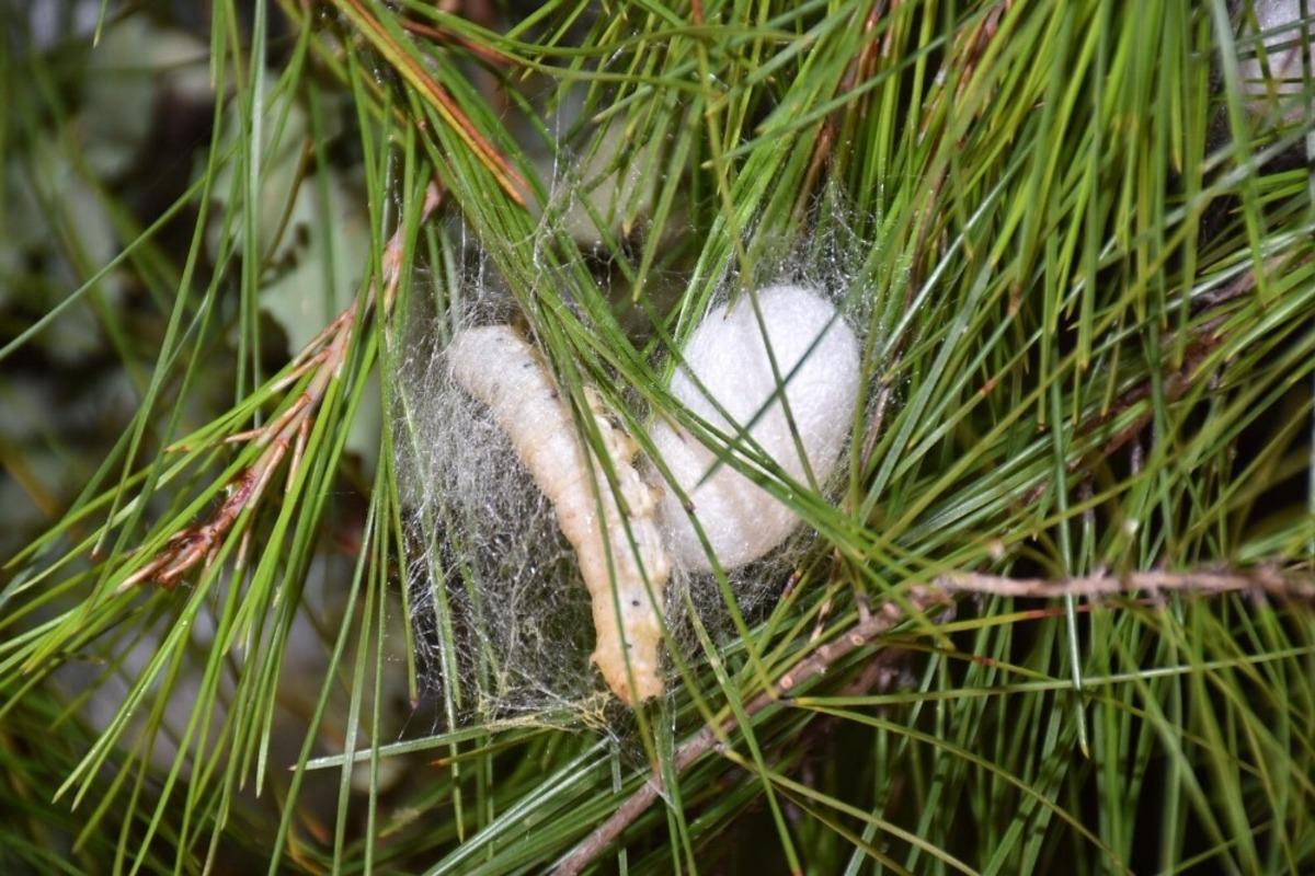 Saylak; &ldquo;Kadın elinin değdiği her iş g&uuml;zelleşiyor ve b&uuml;y&uuml;yor&rdquo;
