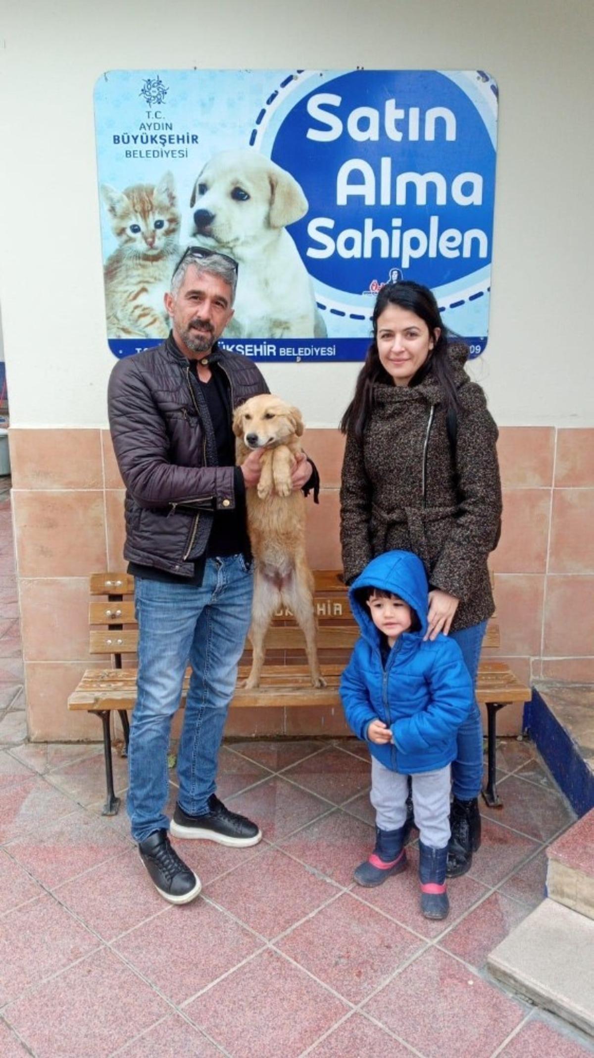 Aydın&rsquo;da 2 bin 905 sokak hayvanı sahiplenildi