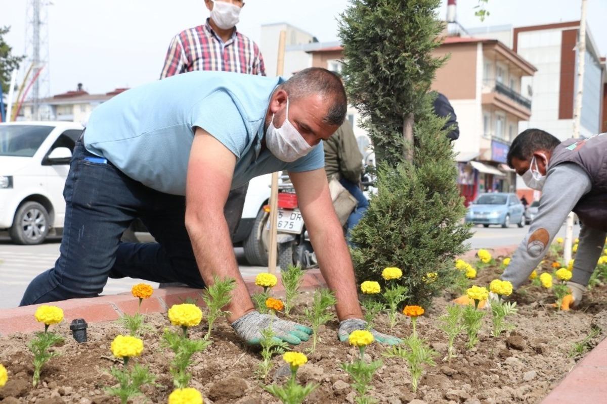 Erciş Belediyesi caddeleri &ccedil;i&ccedil;eklerle donatıyor