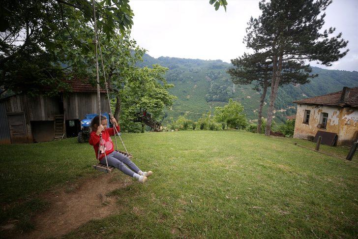 Batı Karadeniz'de doğa yeşile büründü G1