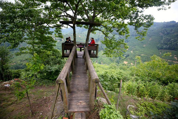 Batı Karadeniz'de doğa yeşile büründü G2