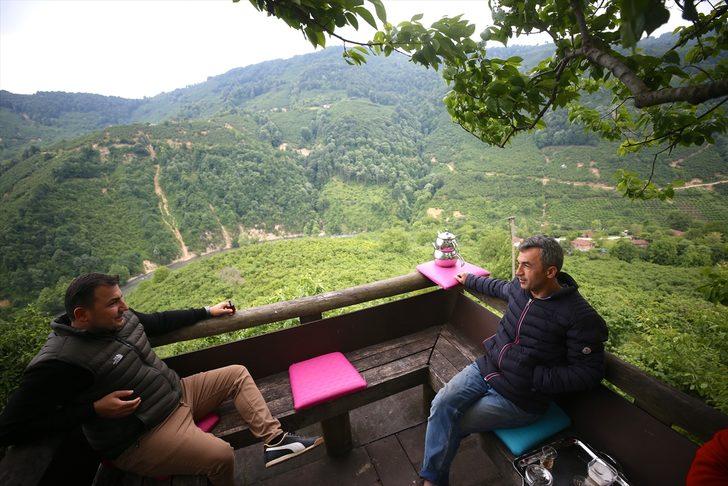 Batı Karadeniz'de doğa yeşile büründü G3