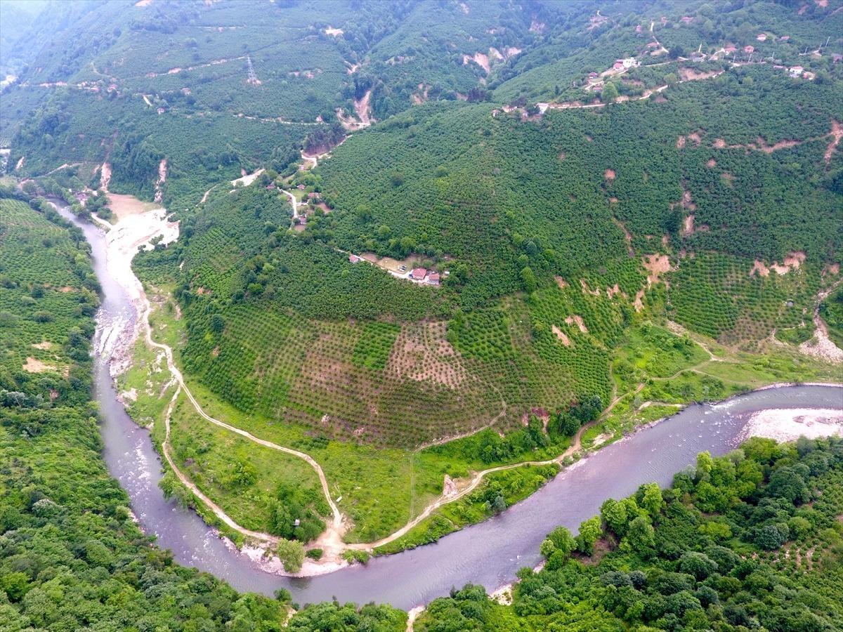 Batı Karadeniz'de doğa yeşile b&uuml;r&uuml;nd&uuml;