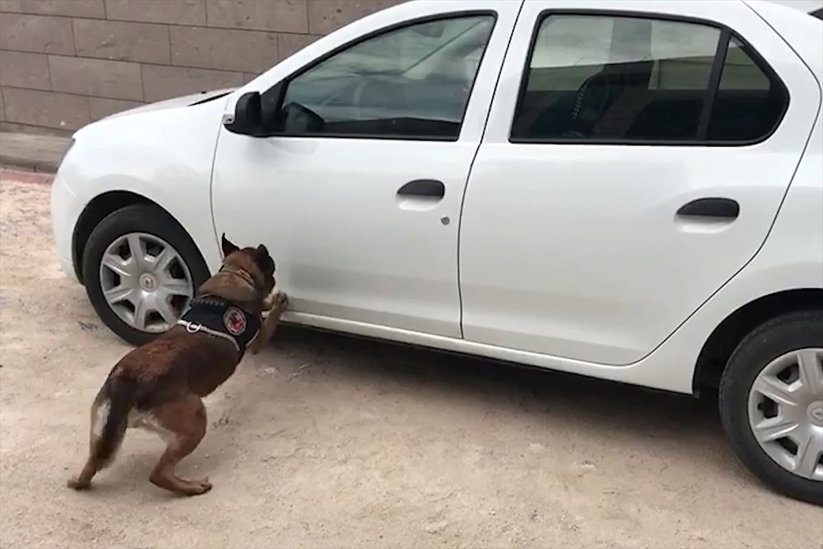 Otomobilin stepnesi ve koltuk kılıfına gizlenen uyuşturucuyu narkotik k&ouml;peği buldu