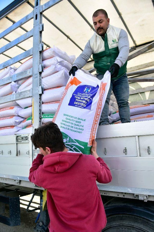 Çiftçiye Macar fiğ tohumu desteği için ön kayıt başvuruları başladı