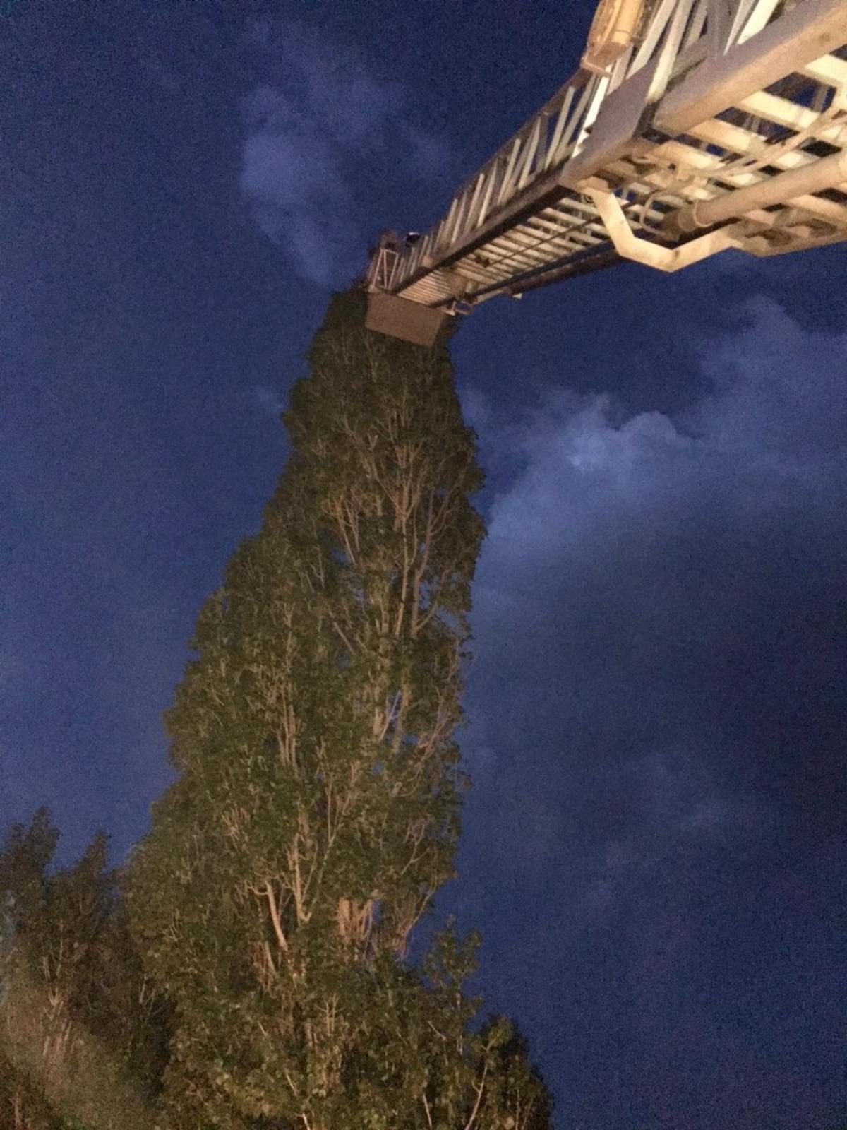 Yuvadan d&uuml;şen yavru kuşa şefkat eli