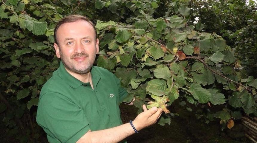 Giresun’a fındık müzesi için yer tespiti yapıldı