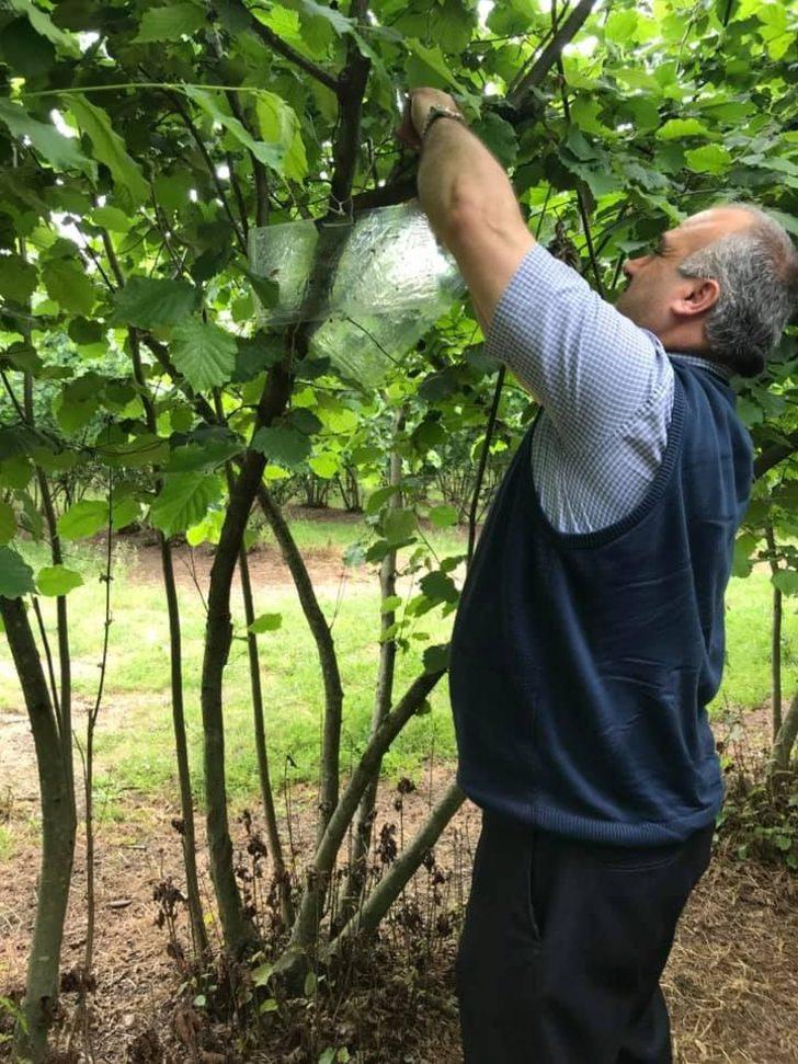 Kahverengi kokarcayla mücadele G3