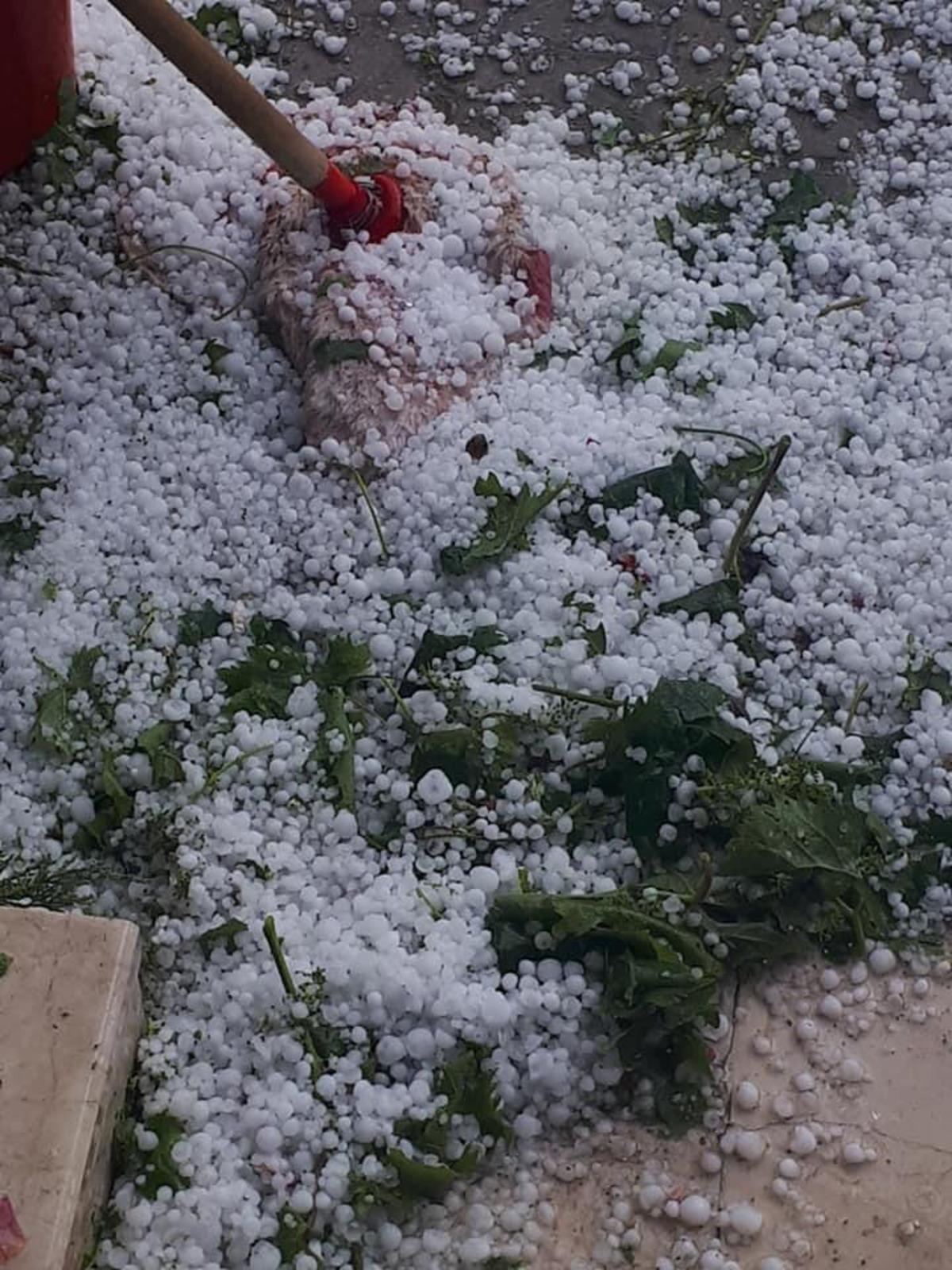 Tokat'ta sağanak sonrası yağan dolu, tarım arazilerini vurdu