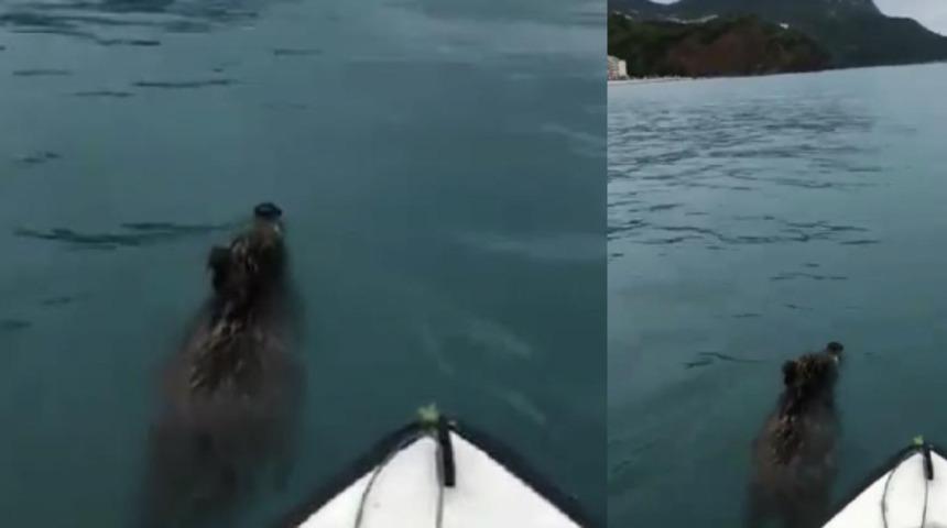 G&ouml;zlerine inanamadı! Tekneye doğru yaklaştı ve...