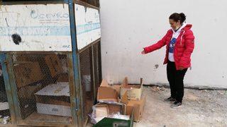 Geri dönüşüme bırakılan 3 günlük bebek koruma altına alındı