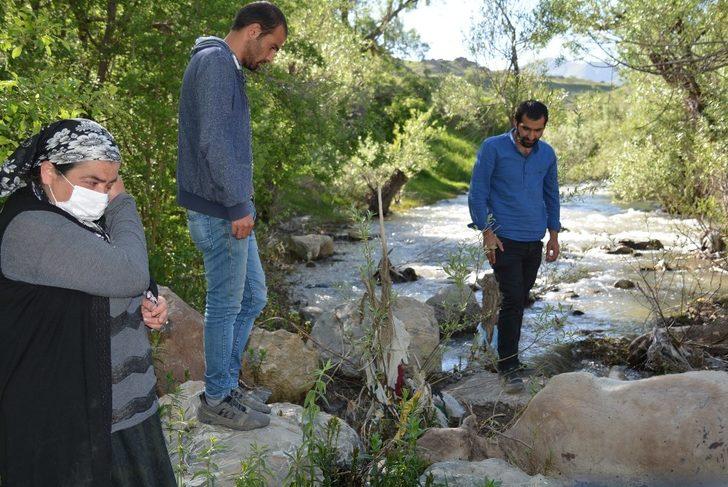 Banka kredisiyle aldığı inek derede boğulunca başında hüngür hüngür ağladı G1