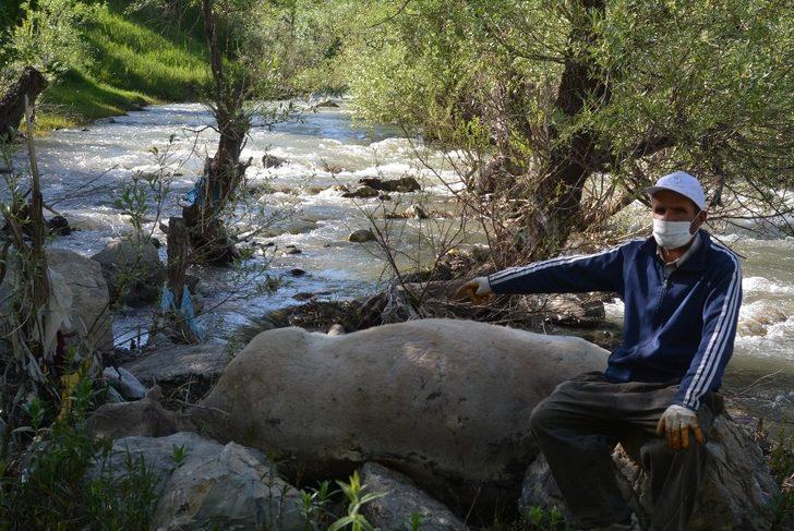 Banka kredisiyle aldığı inek derede boğulunca başında hüngür hüngür ağladı G2
