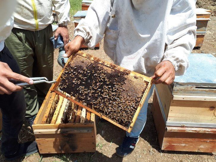 MŞÜ’den tarım ve hayvancılığı geliştirme çalışması G2