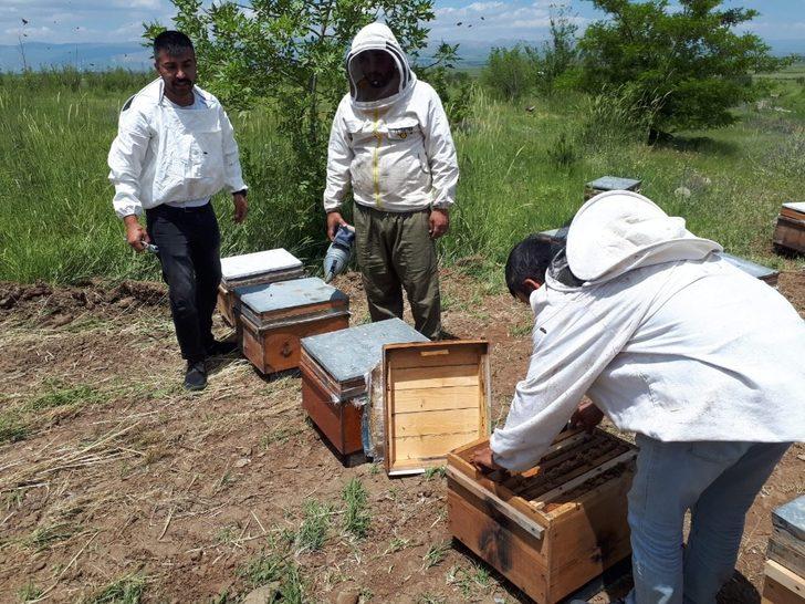 MŞÜ’den tarım ve hayvancılığı geliştirme çalışması G4