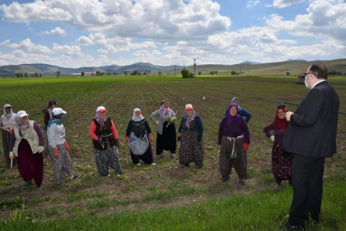 Vali Tutulmaz, don vuran ekin yerlerini ziyaret etti
